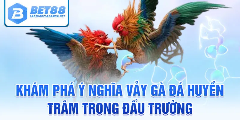 Khám phá ý nghĩa vảy gà đá huyền trâm trong đấu trường