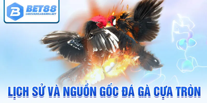 Lịch sử và nguồn gốc Đá gà cựa tròn