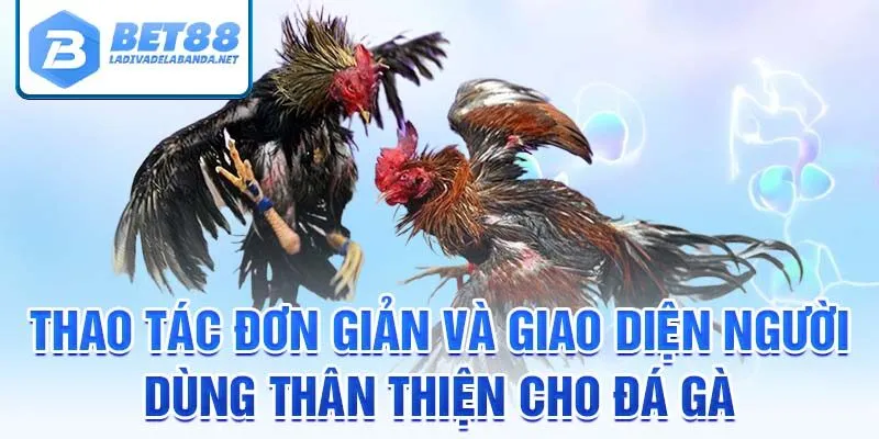 Thao tác đơn giản và giao diện người dùng thân thiện cho đá gà philippines